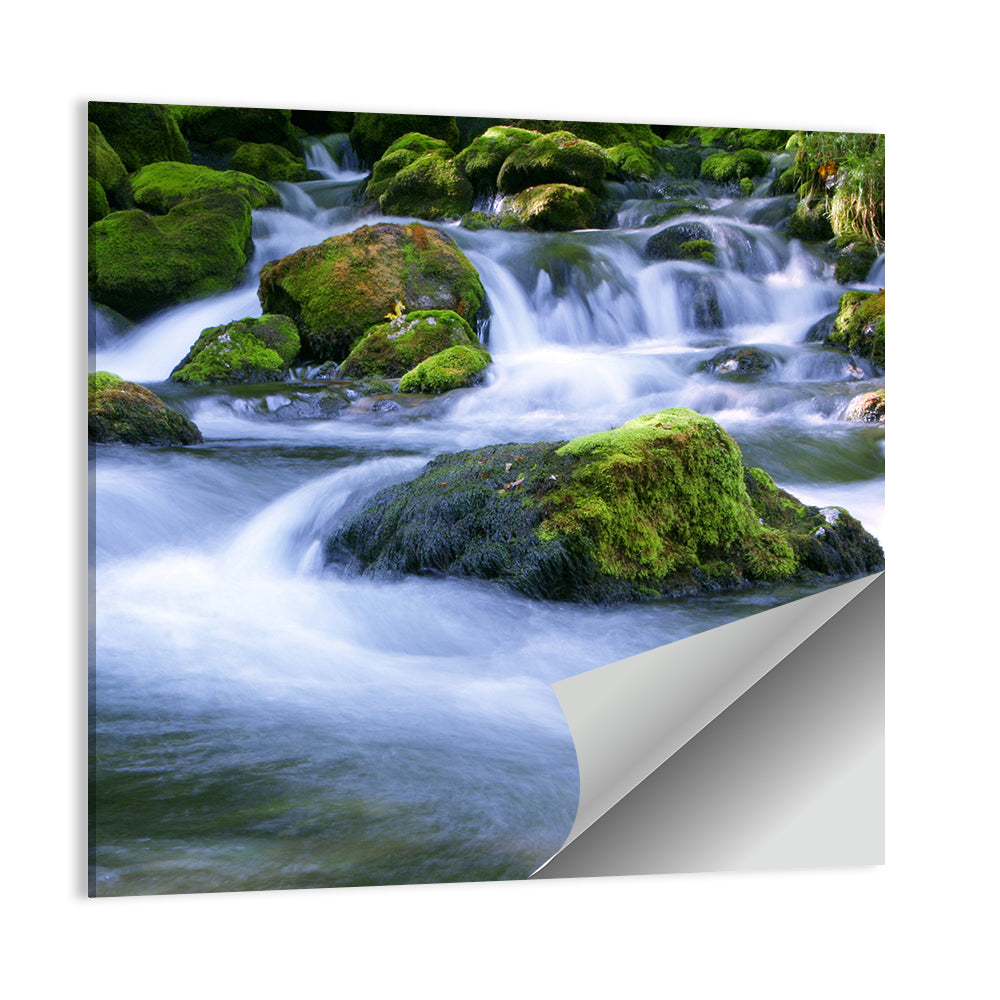 Mossy Forest Stream Wall Art