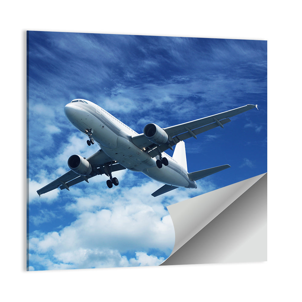 Passenger Airliner in Blue Sky Wall Art