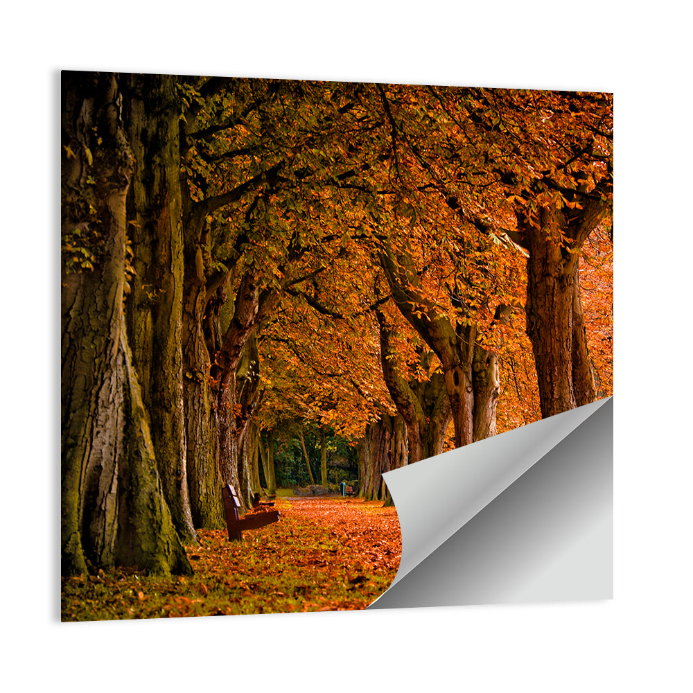 Autumn Forest Pathway Wall Art