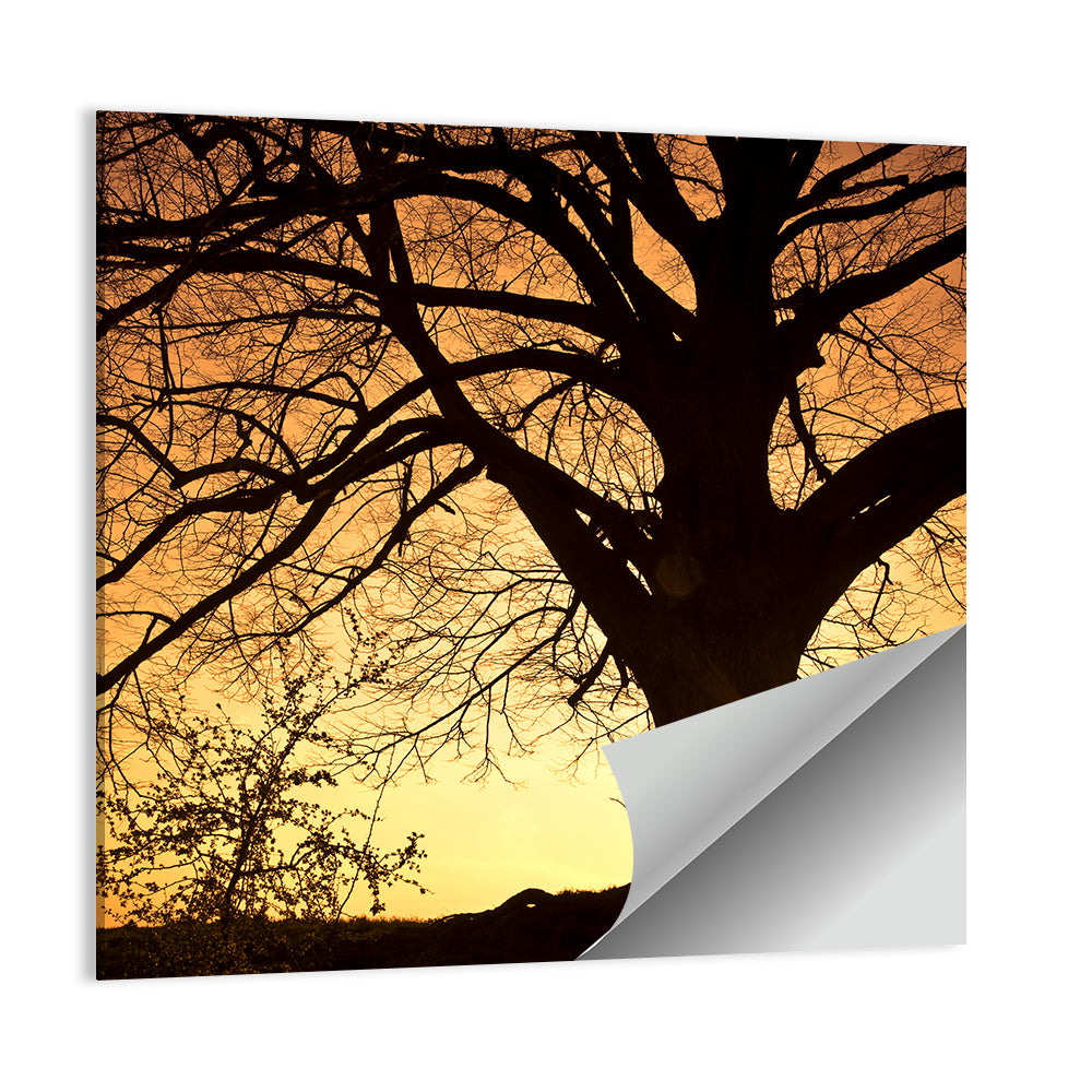 Willow Tree Sunset Wall Art