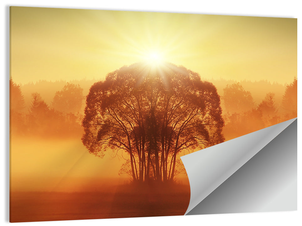 Golden Haze Tree at Sunset Wall Art