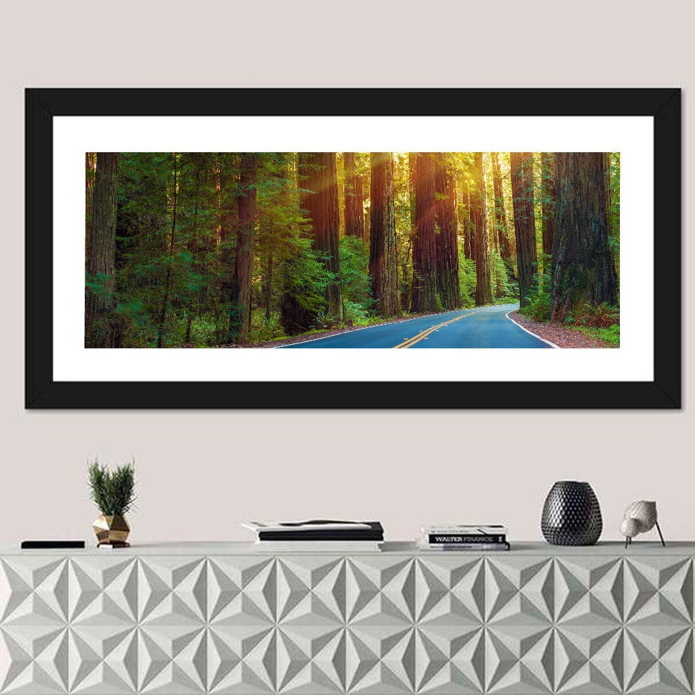 Sunlit Redwood Highway Wall Art in a room, panoramic