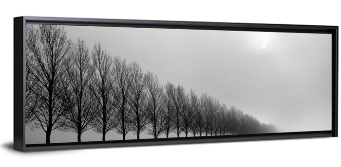 Misty Row of Bare Trees Wall Art as a framed canvas
