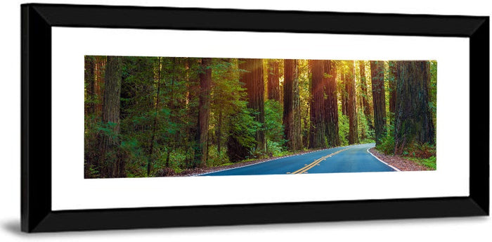 Sunlit Redwood Highway Wall Art as a framed print