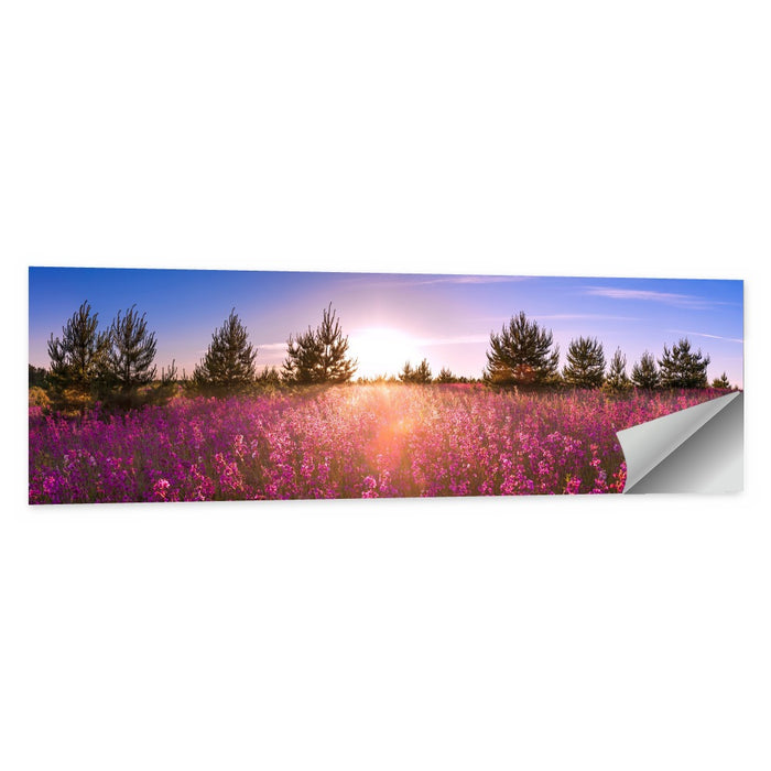 Sunrise Wildflower Meadow Wall Art as a poster print