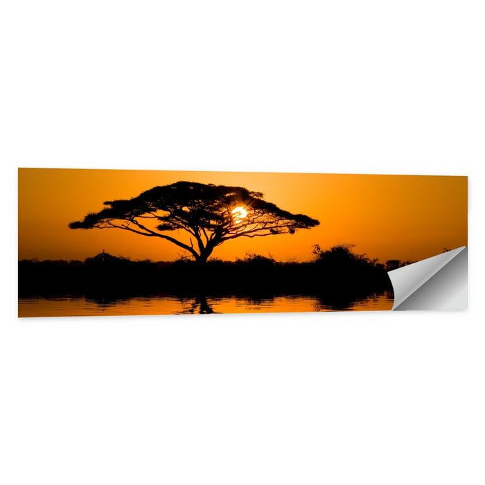 Acacia Tree at Sunrise Wall Art as a poster print