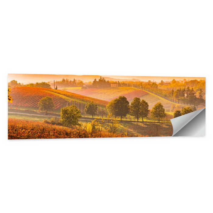 Golden Hour Vineyard Hills Wall Art as a poster print