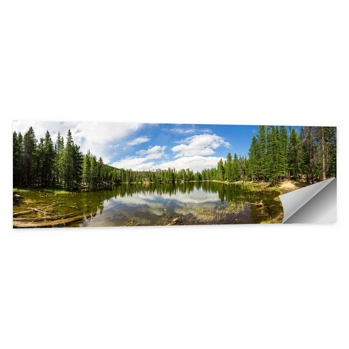 Estes Park Pine Lake Reflection Wall Art as a poster print