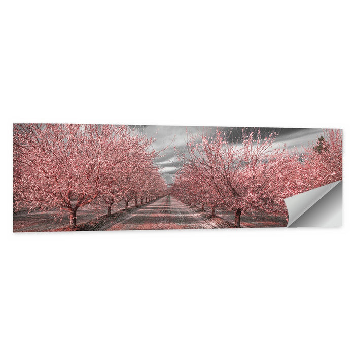 California Orchard Pink Blossoms Wall Art as a poster print