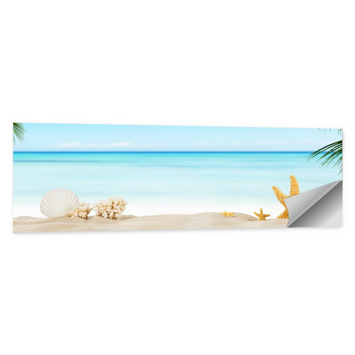 Seashell and Starfish Beach Still Life Wall Art as a poster print