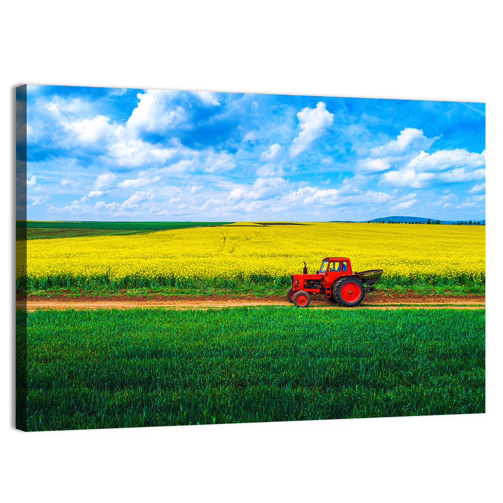 Red Tractor Over Yellow Rapeseed Field Wall Art, canvas print, landscape
