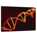 Red Dna Double Helix Wall Art