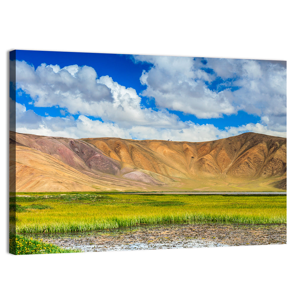 Bulunkul Lake Meadow, Tajikistan Wall Art