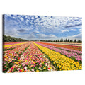 Spring Buttercup Field Wall Art