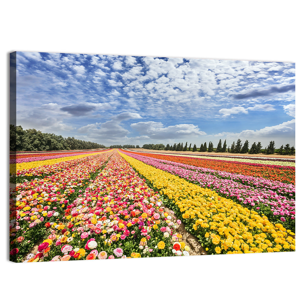 Spring Buttercup Field Wall Art, canvas print, landscape