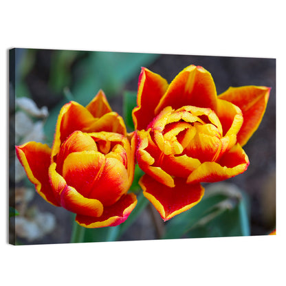 Red Tulips Close-up Wall Art