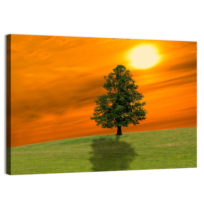 Lonely Tree on Green Hill at Sunset Wall Art