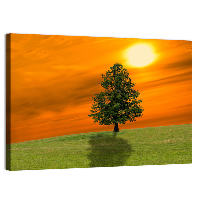 Lonely Tree on Green Hill at Sunset Wall Art as a canvas print