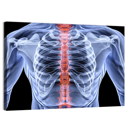Male Spine X-ray Illustration Wall Art