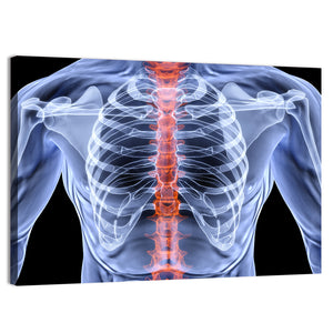 Men Backbone X-Ray Wall Art