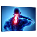 Cervical Spine X-ray Illustration Wall Art