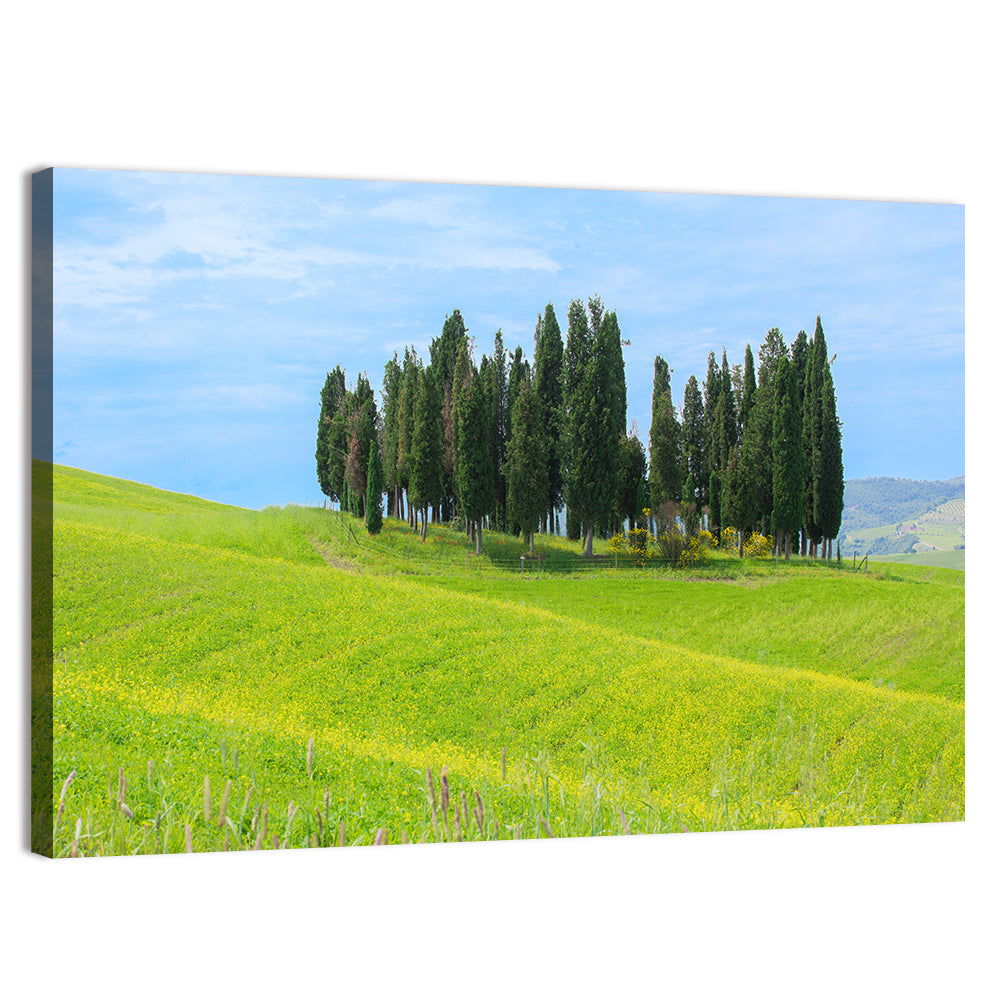 Tuscany Cypress Trees Wall Art, canvas print, landscape