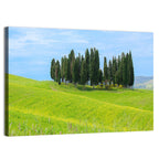 Tuscany Cypress Trees Wall Art