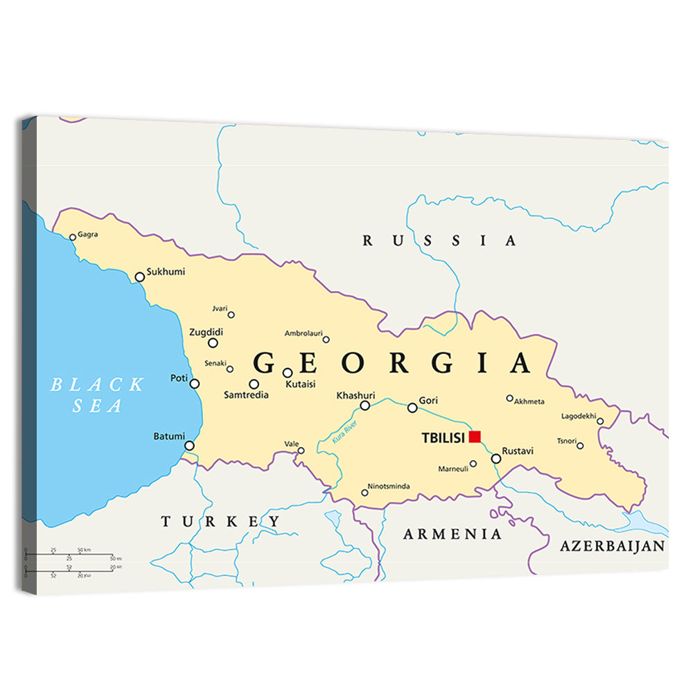Georgia Political Map with Labeled Cities Wall Art
