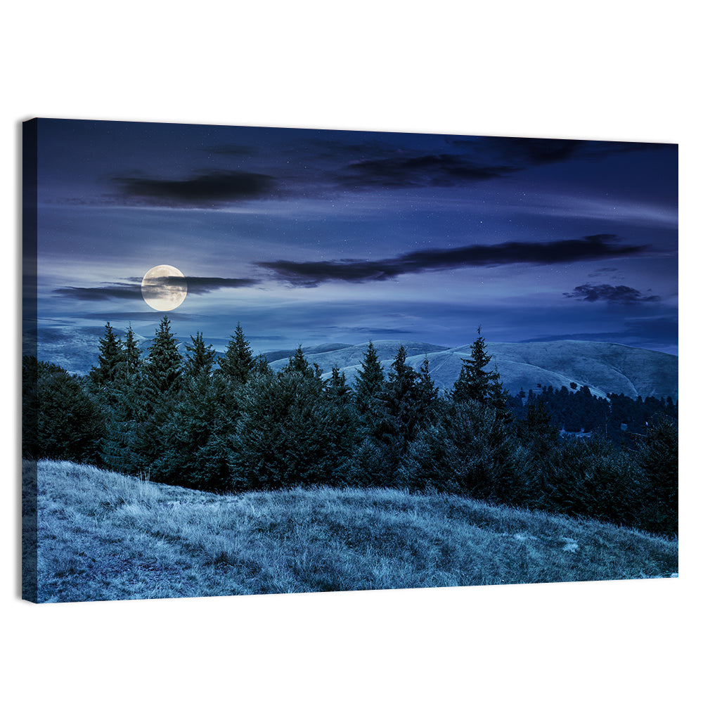 Moonlit Svydovets Ridge Wall Art, canvas print, landscape