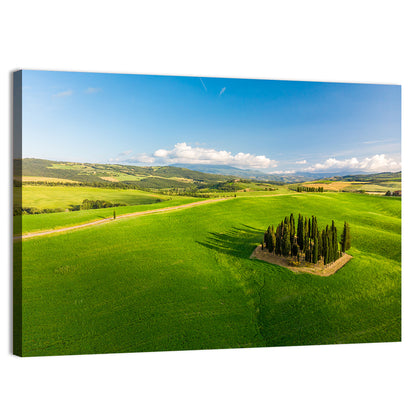 Italian Cypresses on Rolling Hills Wall Art