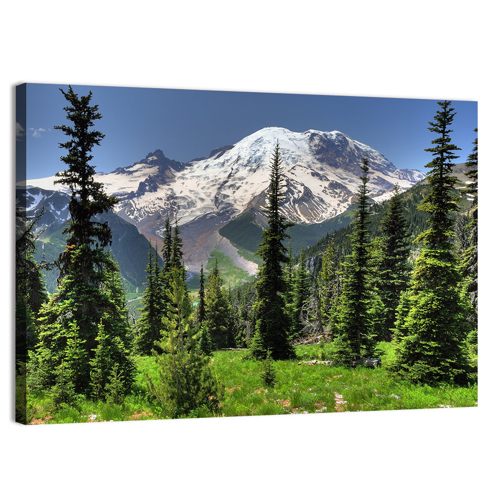 Mount Rainier Framed by Pine Trees Wall Art, canvas print, landscape