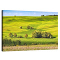 Rolling Hills of Ukraine Wall Art