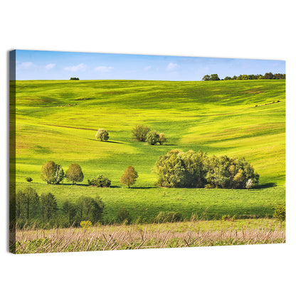 Rolling Hills of Ukraine Wall Art