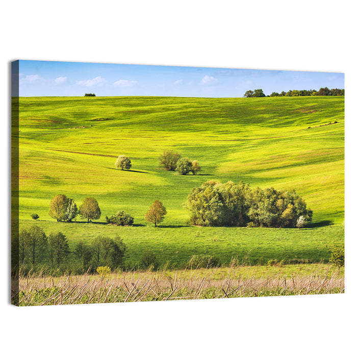 Rolling Hills of Ukraine Wall Art as a canvas print