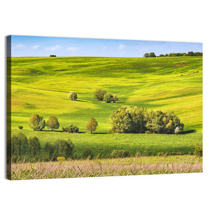 Ukraine Spring Fields Wall Art