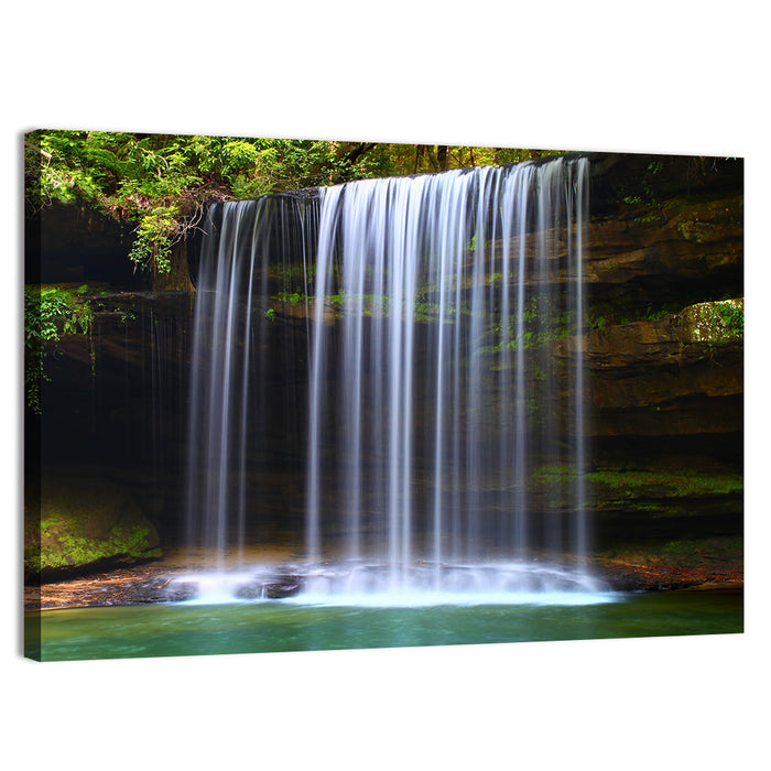 Upper Caney Creek Falls, Mossy Cliff Wall Art as a canvas print