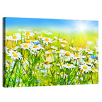 Sunlit Daisy Field Wall Art