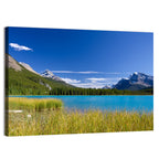 Autumn Lake in Jasper National Park Wall Art