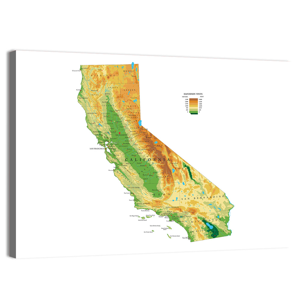 California Topographic Map Wall Art