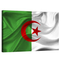 Waving Algerian Flag with Crescent and Star Wall Art