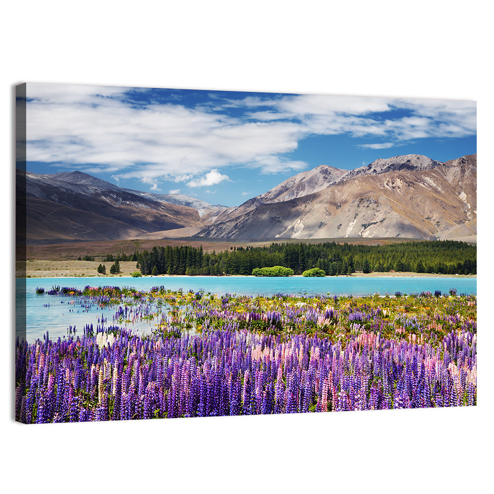 Lupines at Lake Tekapo Wall Art