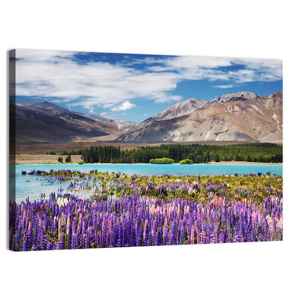 Lupines at Lake Tekapo Wall Art