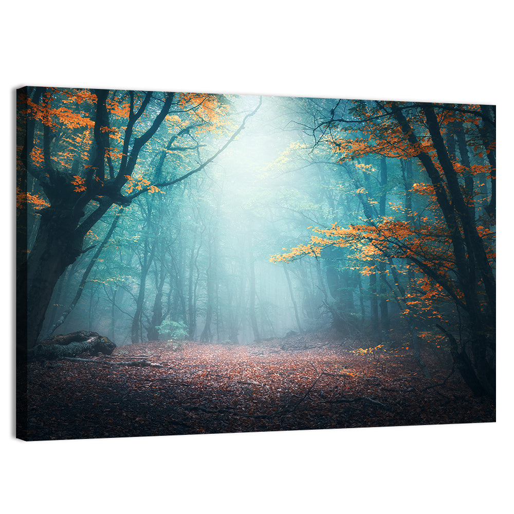 Misty Forest Path with Glowing Light Wall Art