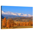 Altay Mountains with Golden Larches Wall Art