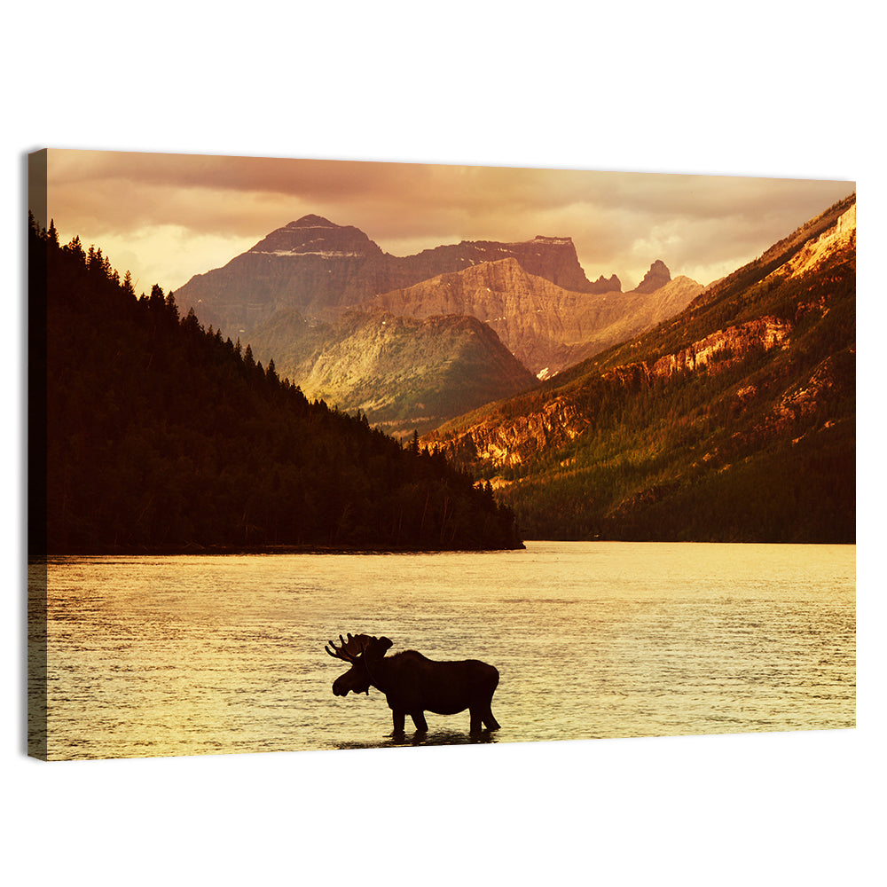 Waterton Lakes Moose at Golden Dusk Wall Art, canvas print, landscape