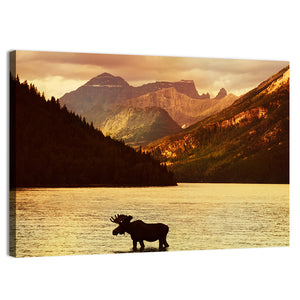 Moose In Waterton Lakes National Park Wall Art