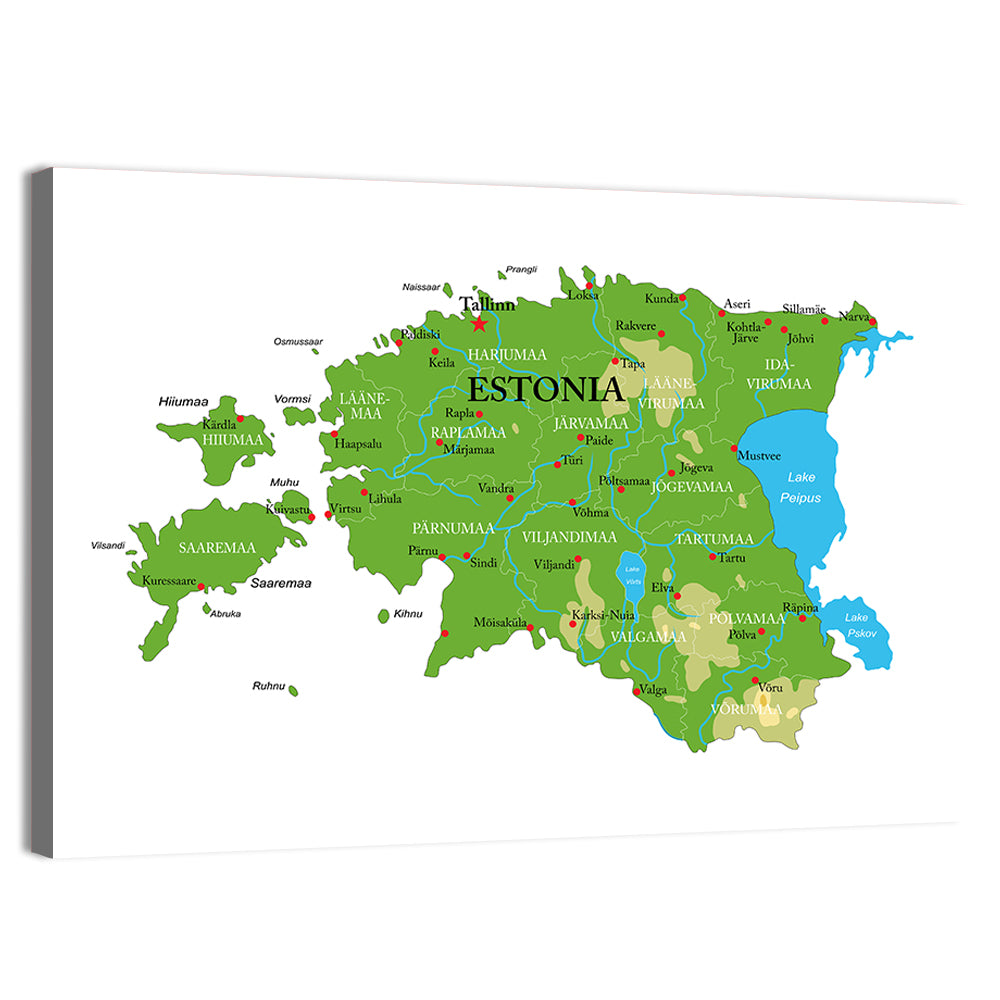 Estonia Physical Map Wall Art