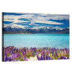 Lake Tekapo Lupines and Mountains Wall Art
