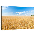 Golden Wheat Field with Blue Sky Wall Art