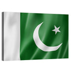 Waving Pakistan Flag Wall Art